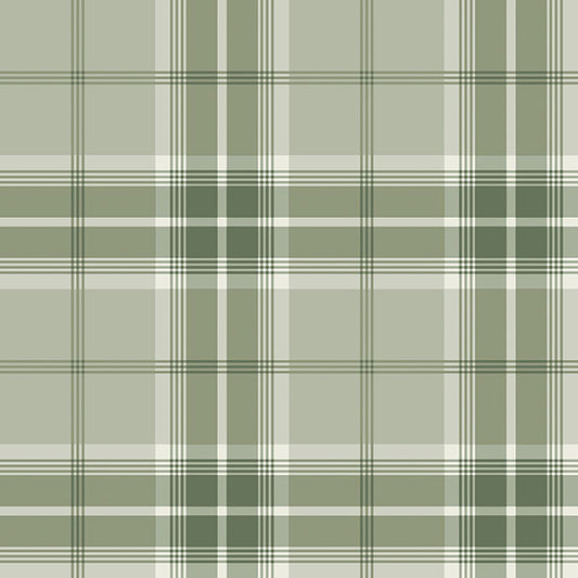 Purchase 2980-92122 Advantage Wallpaper, Sala Green Plaid - Splash