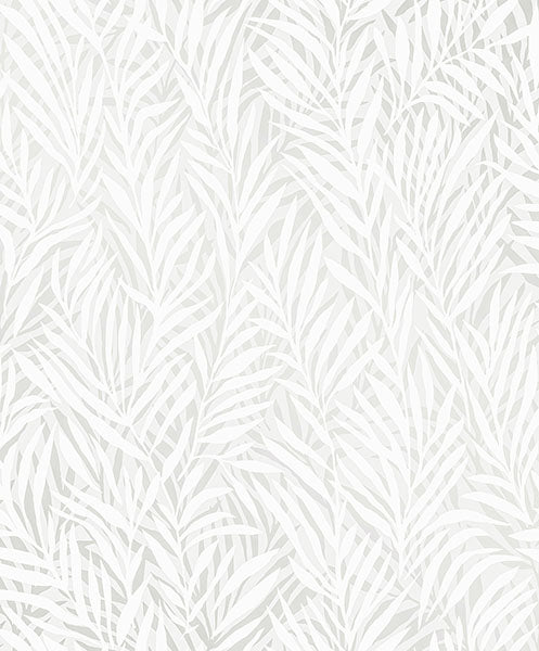 Purchase 2980-M52500 Advantage Wallpaper, Holzer White Fern - Splash