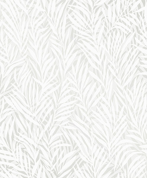 Purchase 2980-M52500 Advantage Wallpaper, Holzer White Fern - Splash