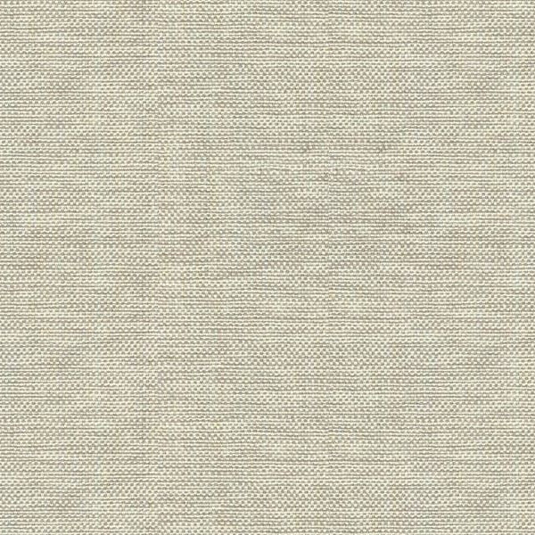 View 30299.106 Kravet Basics Multipurpose Fabric