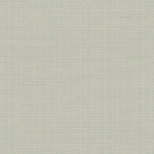 Looking 3118-016914 Birch & Sparrow Kent Grasscloth Beige by Chesapeake Wallpaper