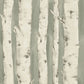 Shop 3118-12603 Birch & Sparrow Pioneer Birch Tree Sage by Chesapeake Wallpaper