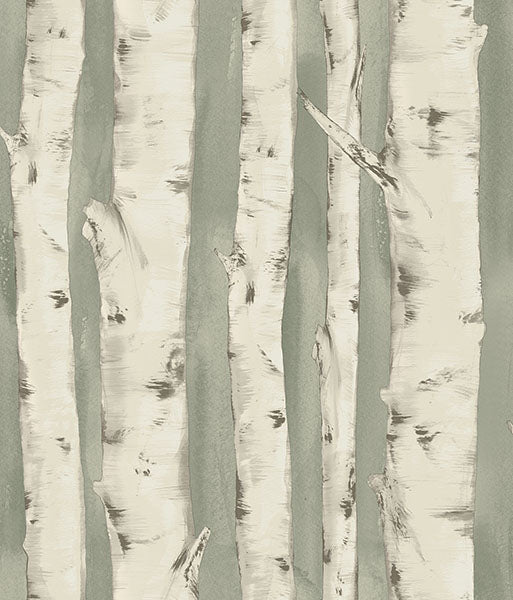 Shop 3118-12603 Birch & Sparrow Pioneer Birch Tree Sage by Chesapeake Wallpaper