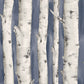 Buy 3118-12604 Birch & Sparrow Pioneer Birch Tree Denim by Chesapeake Wallpaper