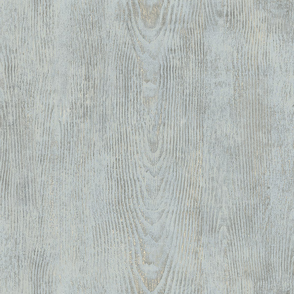 Find 3118-12681 Birch & Sparrow Drifter Wood Light Blue by Chesapeake Wallpaper