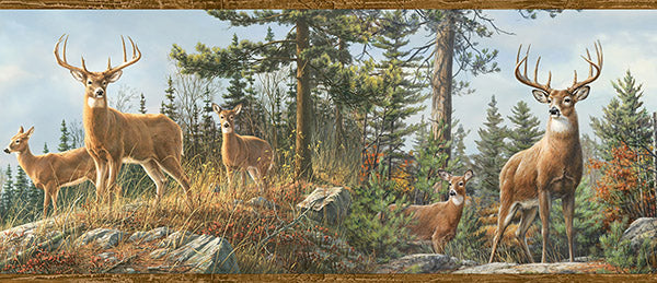 Select 3118-48463B Birch & Sparrow Whitetail Crest Forest Multicolor by Chesapeake Wallpaper