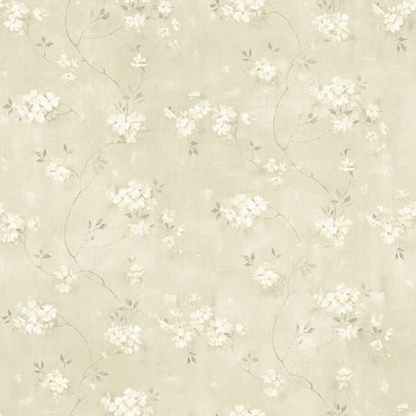 Purchase 3119-441011 Kindred Braham Taupe Floral Trail Taupe by Chesapeake Wallpaper