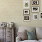 Buy 3119 441011 Kindred Taupe Chesapeake Wallpaper