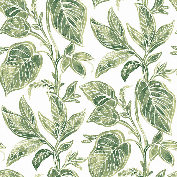 Acquire 3120-13621 Sanibel Mangrove Green Botanical Green by Chesapeake Wallpaper