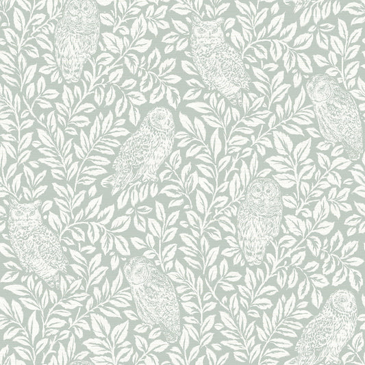 Select 3123-12414 Homestead Parliament Seafoam Owl Seafoam by Chesapeake Wallpaper