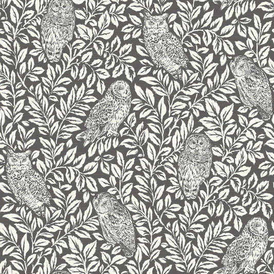 Looking 3123-12415 Homestead Parliament Charcoal Owl Charcoal by Chesapeake Wallpaper