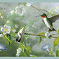Save 3123-48531 Homestead Ruby Light Blue Hummingbird Garden Border Light Blue by Chesapeake Wallpaper