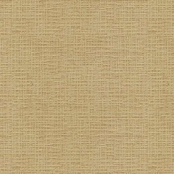 Find 32314.1616 Kravet Basics Multipurpose Fabric