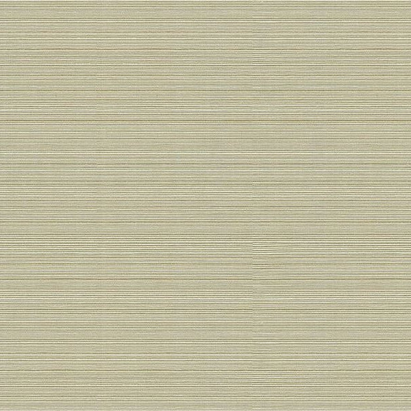 Order 32497.16 Kravet Basics Multipurpose Fabric