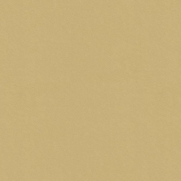 Find Kravet Smart fabric - Beige Solids/Plain Cloth Upholstery fabric