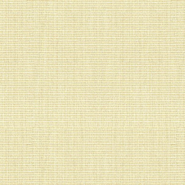 Acquire Kravet Smart fabric - White Solids/Plain Cloth Upholstery fabric