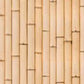 Purchase 330271 Ibiza Neutral Bamboo Wallpaper by Eijffinger Wallpaper
