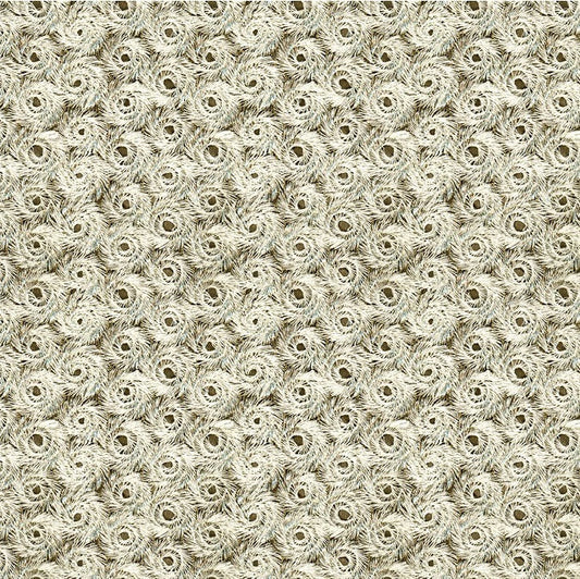 Purchase 33486.11.0 Royal Affair Platinum Metallic Grey Kravet Couture Fabric