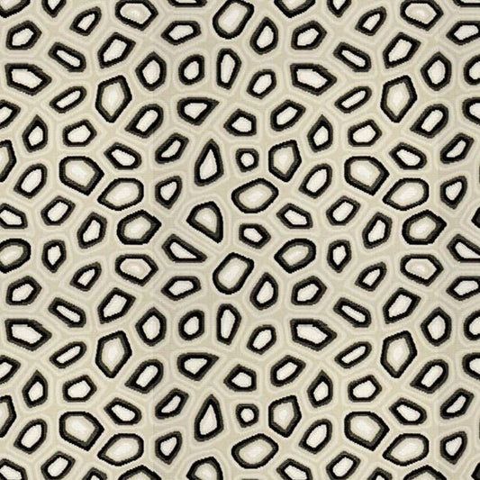 Looking 33561.81.0 Chic Tortoise Anthracite Geometric Ivory Kravet Couture Fabric