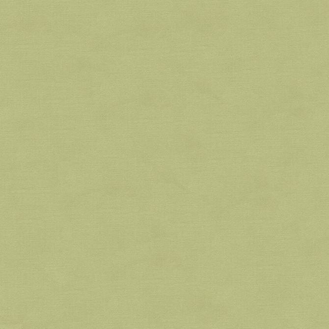 Buy 33886.1110.0 Solids/Plain Cloth Light Grey Kravet Couture Fabric