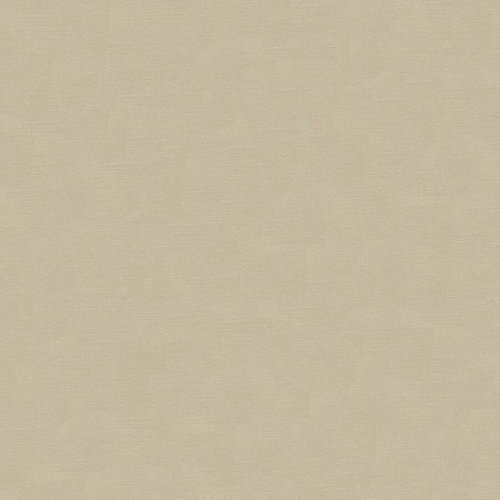 Looking 33886.1611.0 Solids/Plain Cloth Beige Kravet Couture Fabric
