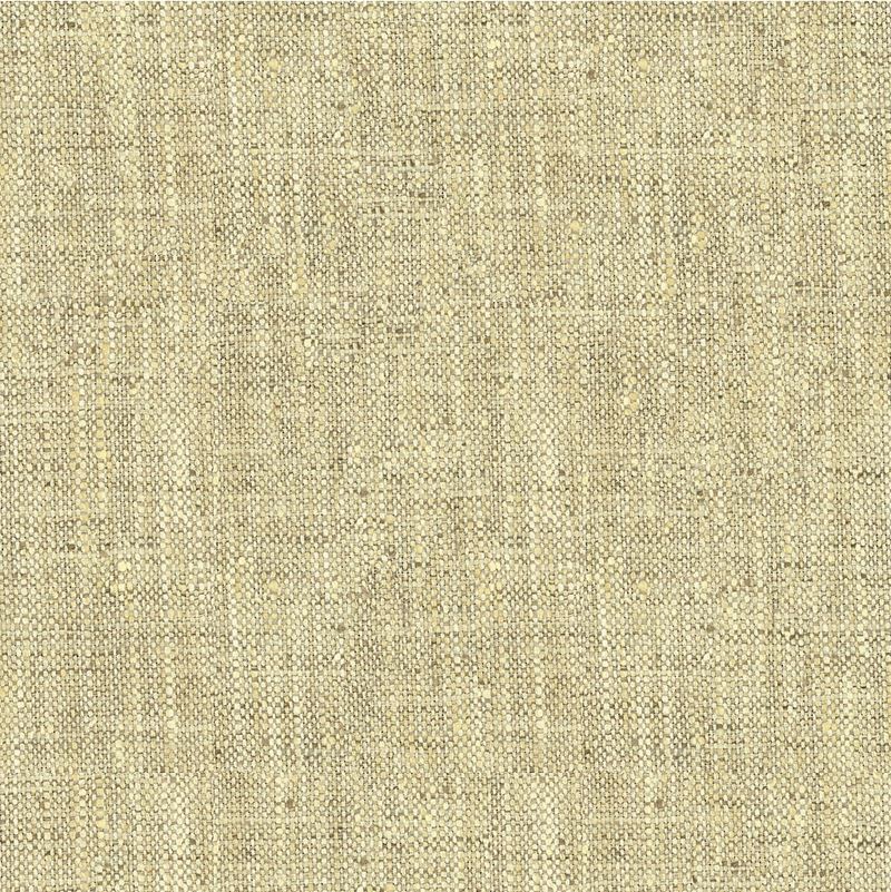 Search 34083.1611.0 Solids/Plain Cloth Light Grey Kravet Basics Fabric