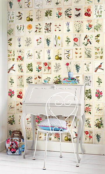 Looking 341086 Pip III Multi Color Novelty Wallpaper by Eijffinger Wallpaper