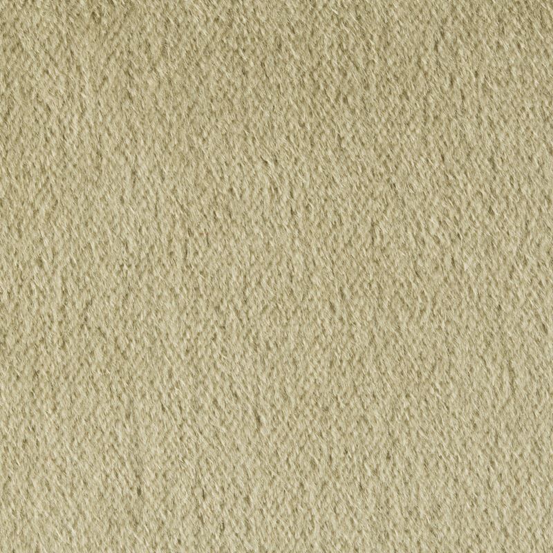 View 34259.311.0 Plazzo Mohair Eucalyptus Solids/Plain Cloth Taupe Kravet Couture Fabric