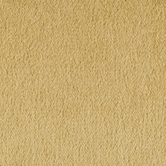 Shop 34259.405.0 Plazzo Mohair Desert Solids/Plain Cloth Light Green Kravet Couture Fabric