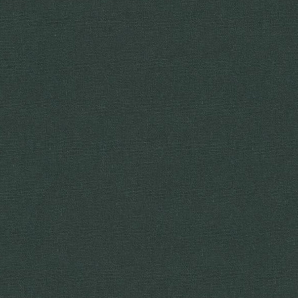 Find 34608.E26716.0 Nepheline Hemlock Solids/Plain Cloth Kravet Couture Fabric