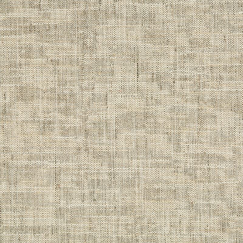 Shop 34983.106.0 Solids/Plain Cloth Beige Kravet Basics Fabric