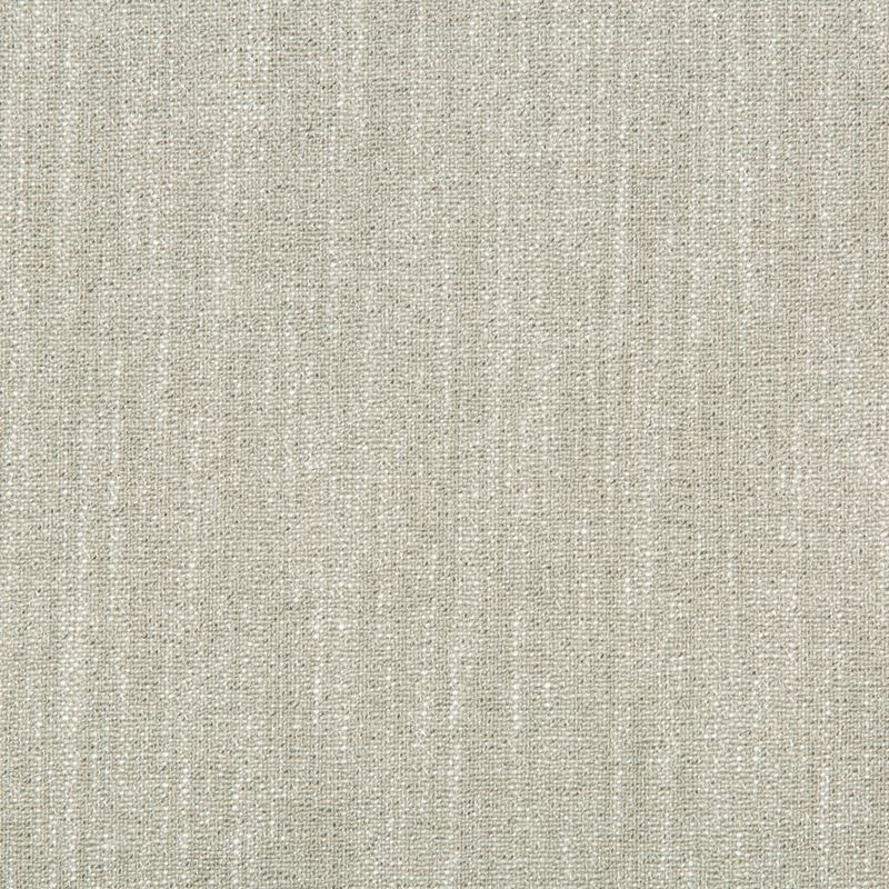Find 35253.11.0 Metallic Grey Kravet Basics Fabric