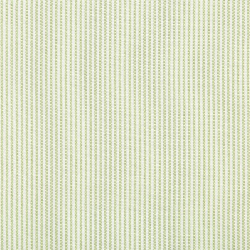 Buy 35374.3.0 Stripes Celery Kravet Basics Fabric