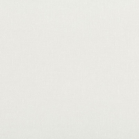 Shop Kravet Smart Fabric - White Solids/Plain Cloth Upholstery Fabric