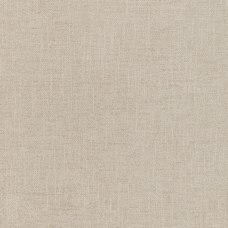 Shop Kravet Smart - Kravet Smart 35973-1 Solid Fabric 35973.1