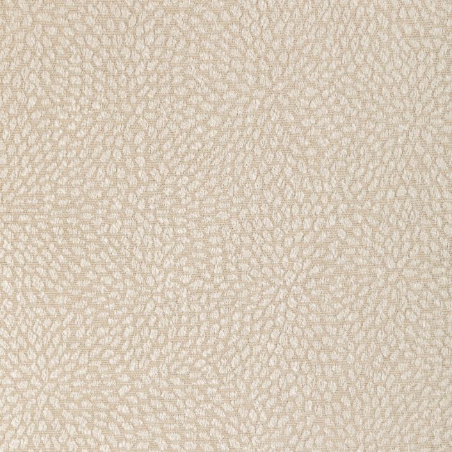 Purchase 35991.16.0 Kravet Basics,  - Kravet Basics Fabric