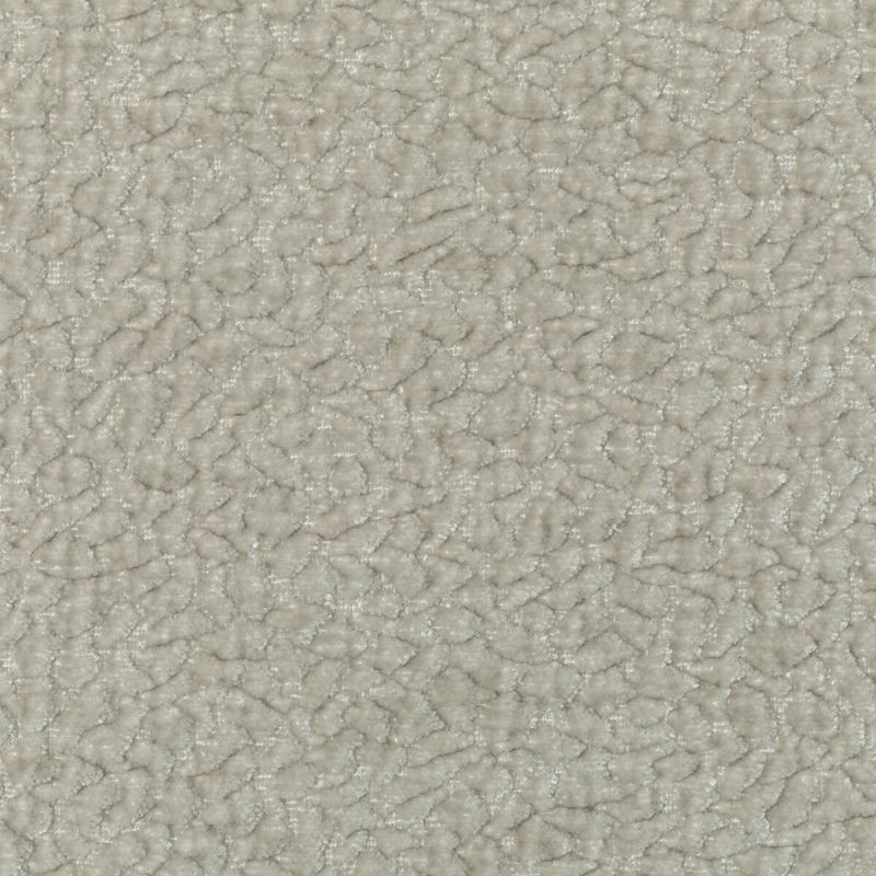 Find Kravet Smart - BARTON CHENILLE, DOVE 36074.111.0