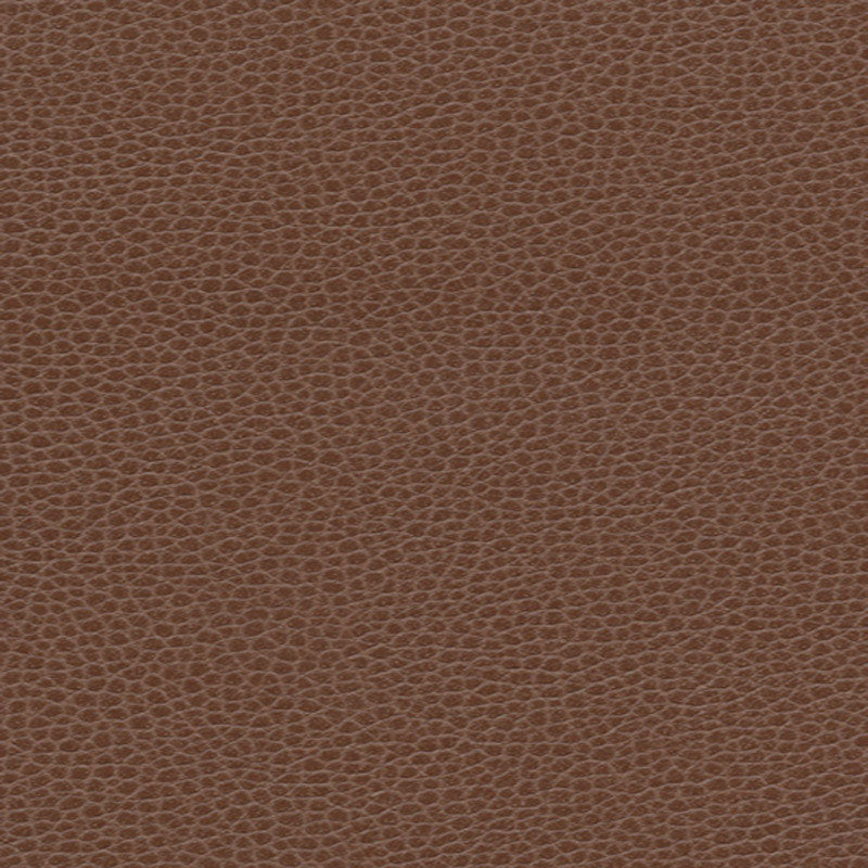 363-3143 | Promessa, Tudor - Schumacher Fabric
