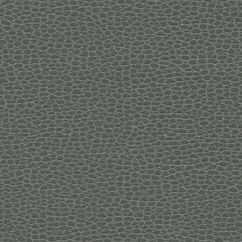 363-5817 | Promessa, Shale - Schumacher Fabric