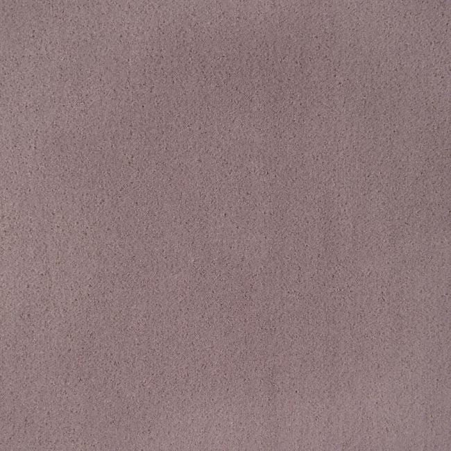 Purchase 36543.110.0 Fomo,  - Kravet Contract Fabric