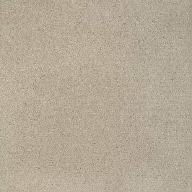 Purchase 36543.116.0 Fomo,  - Kravet Contract Fabric