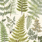 Looking 366104 Geonature Green Leaves Wallpaper by Eijffinger Wallpaper