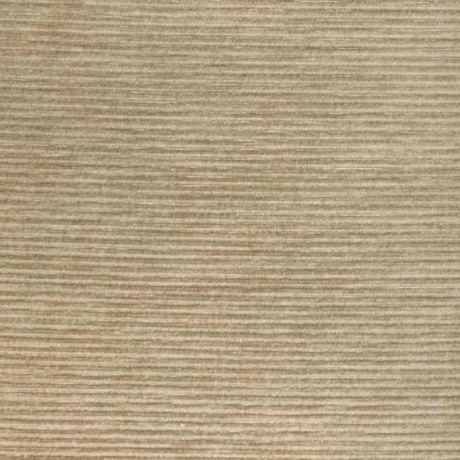 Purchase 36651.1116.0 Kravet Smart, Performance Kravetarmor - Kravet Smart Fabric