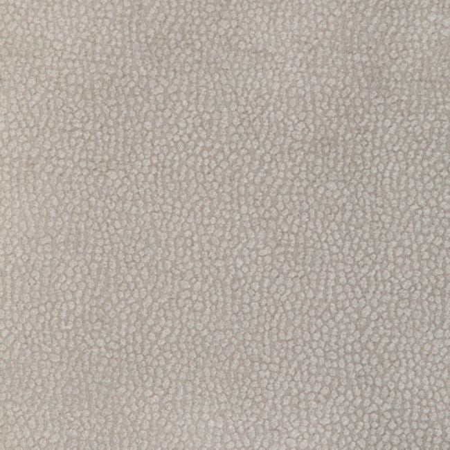 Purchase 36812.11.0 Pebble Chenille, Candice Olson Collection - Kravet Design Fabric