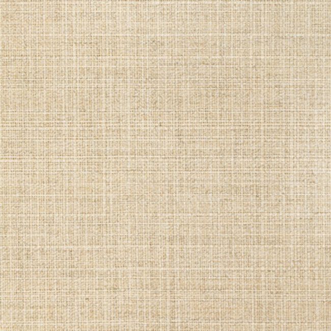 Purchase 36821.16.0 Kravet Basics, Indoor / Outdoor - Kravet Basics Fabric