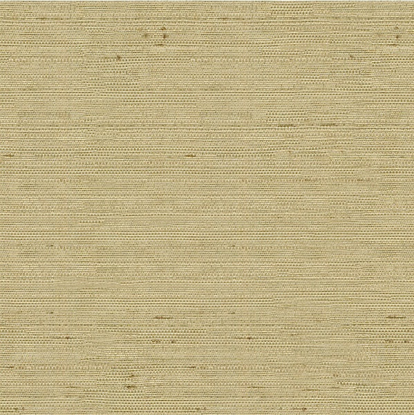 Buy 3807.1616 Kravet Basics Drapery Fabric