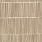 Shop 391513 Terra Aspen Neutral Natural Stripe Neutral by Eijffinger Wallpaper