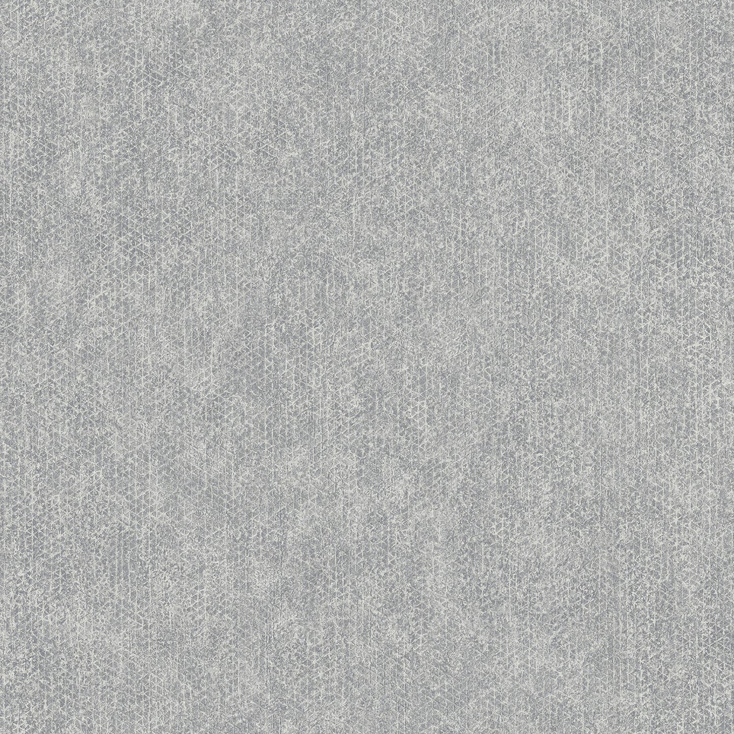 Acquire 4020-75339 Geo & Textures Everett Silver Distressed Textural Silver by Advantage
