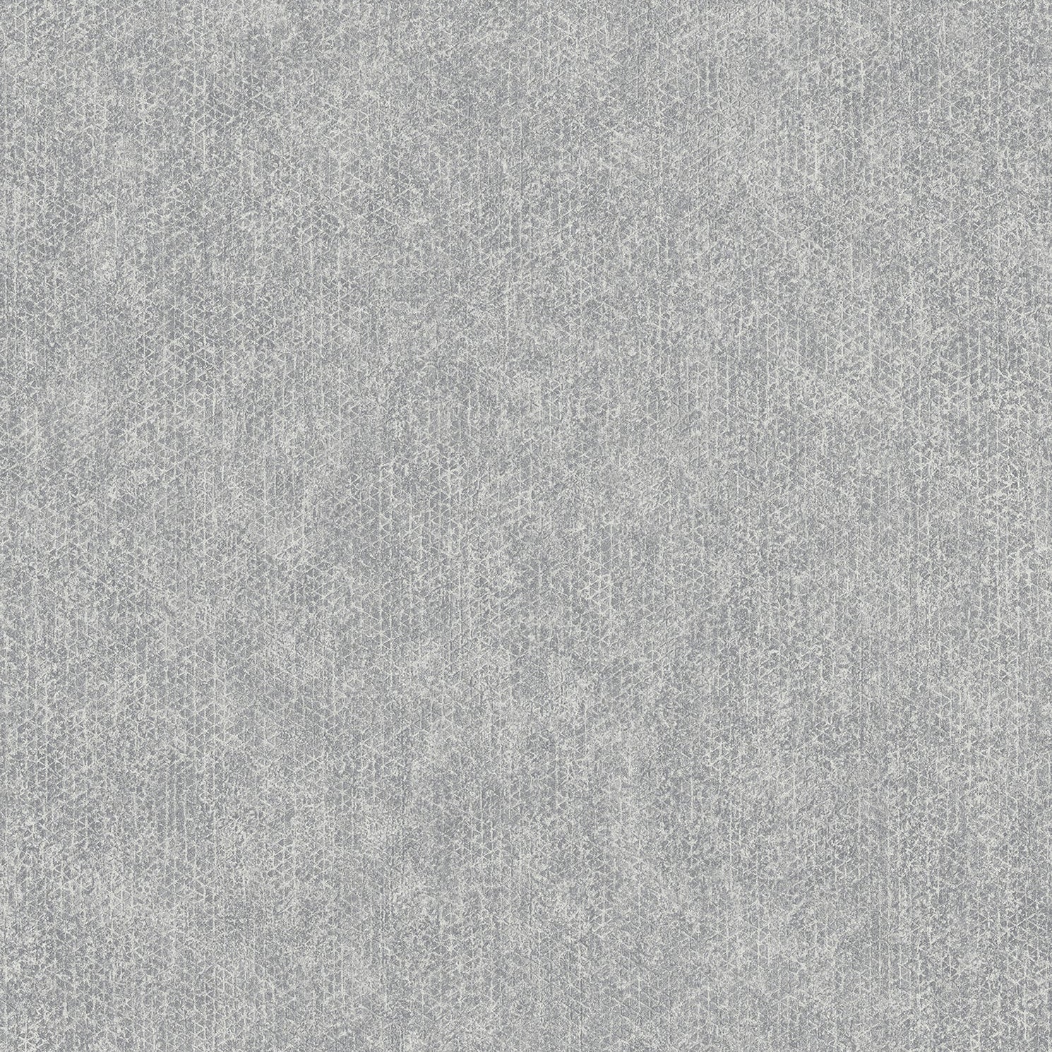 Acquire 4020-75339 Geo & Textures Everett Silver Distressed Textural Silver by Advantage