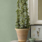 Save 4044-37178 8 cuba green advantage Wallpaper